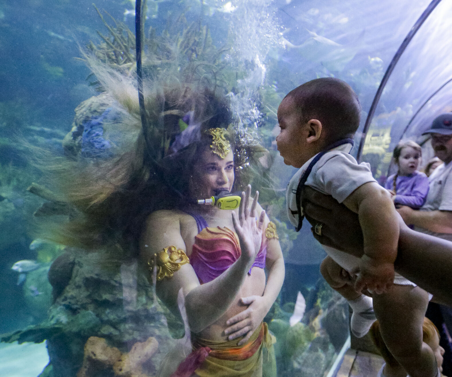 Becoming a mermaid at New Orleans Audubon Aquarium | Entertainment
