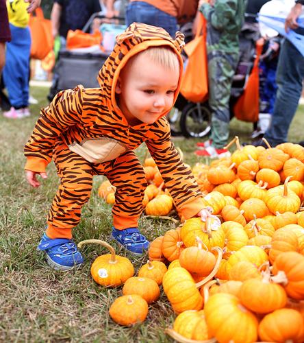Long Fall Boo Boo Fest is a Halloween-themed hit | One Tammany | nola.com