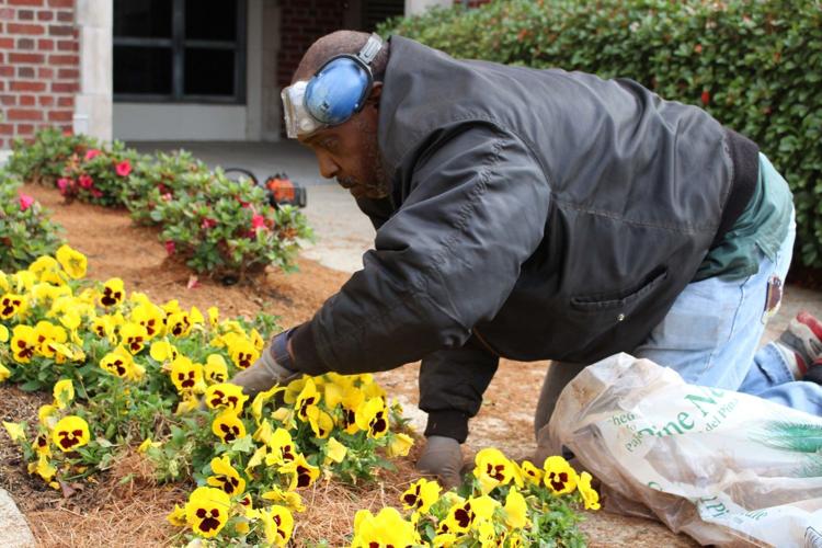 New Orleans ranked as one of worst places to have allergies Archive