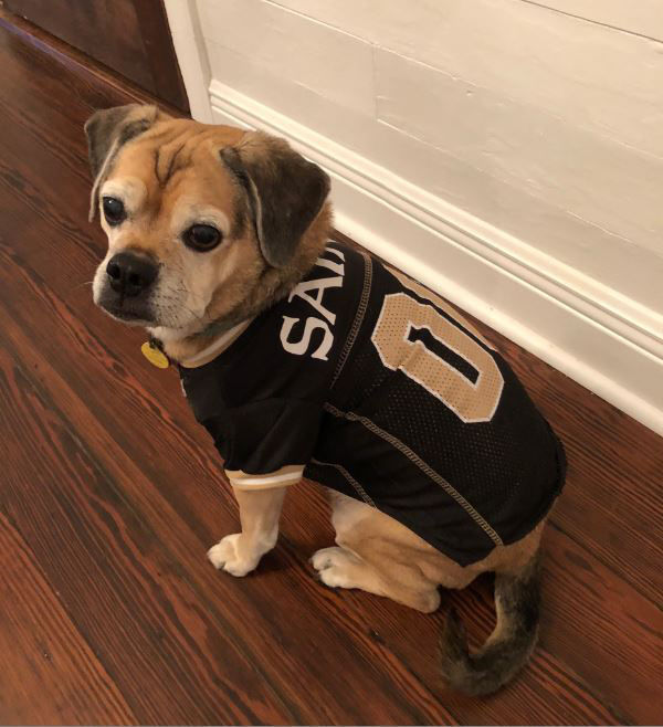 New Orleans Saints Dog T-Shirt