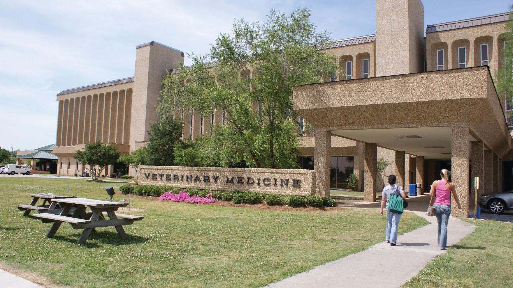 lsu vet school improperly bought shelter animals for lab use peta says in complaint to usda news nola com
