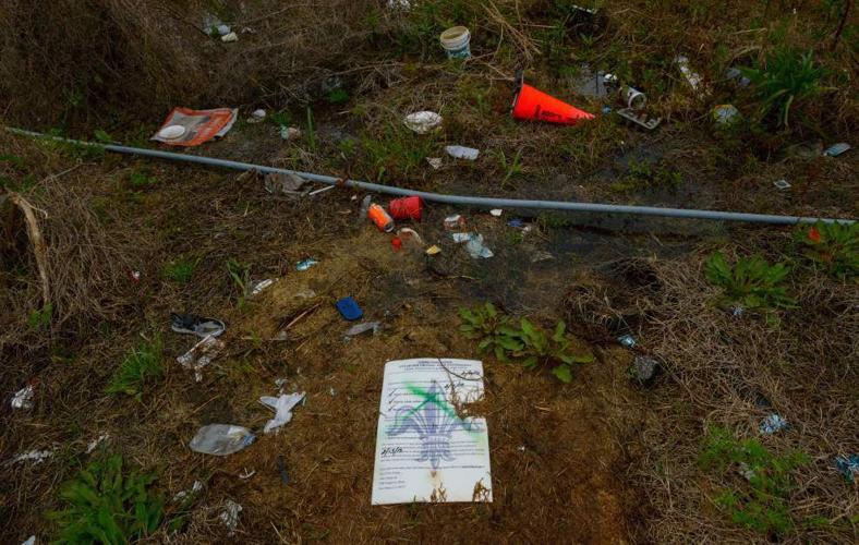 Thousands browse listings in New Orleans' largest property auction; officials calm fears about