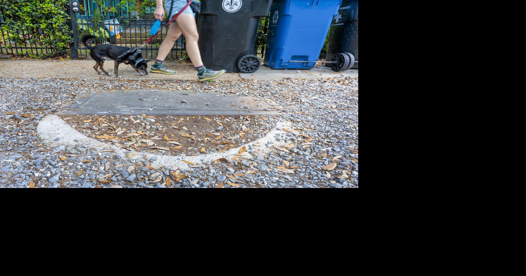 The S&WB had a plan to clean out New Orleans catch basins. Here's how it fell apart.