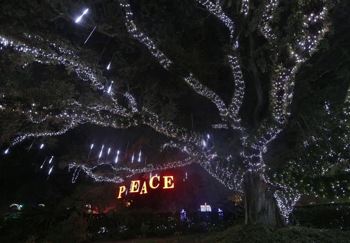 Celebration in the Oaks 2018 preview