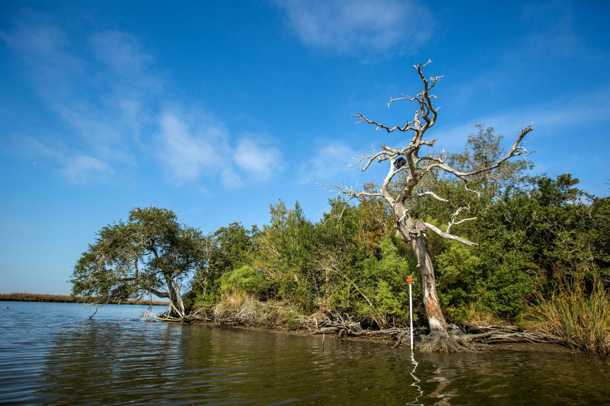 'High risk' Native American village on Grand Bayou wants government