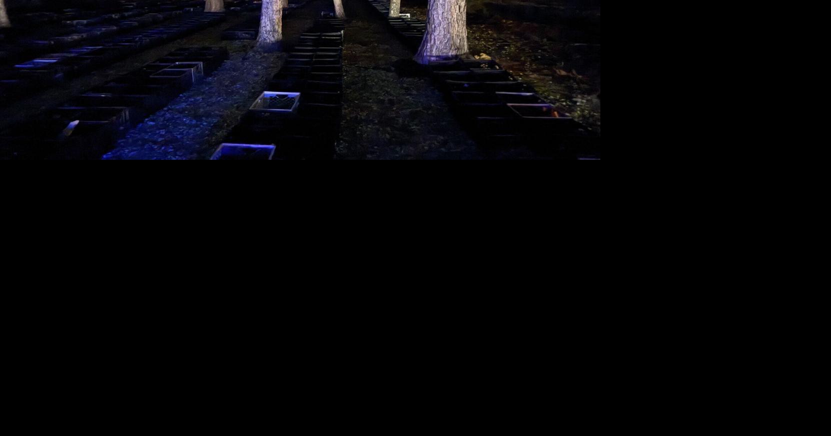 Louisiana rock farm offers one last glowing nighttime hunt in 2026