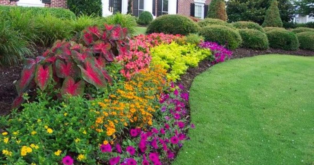 Get summer flowers off to good start with Dan Gill’s advice | Home/Garden