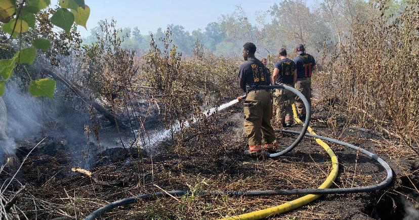 Bayou Sauvage wildfire burns on amid air ground suppression | News - Vimarsana News