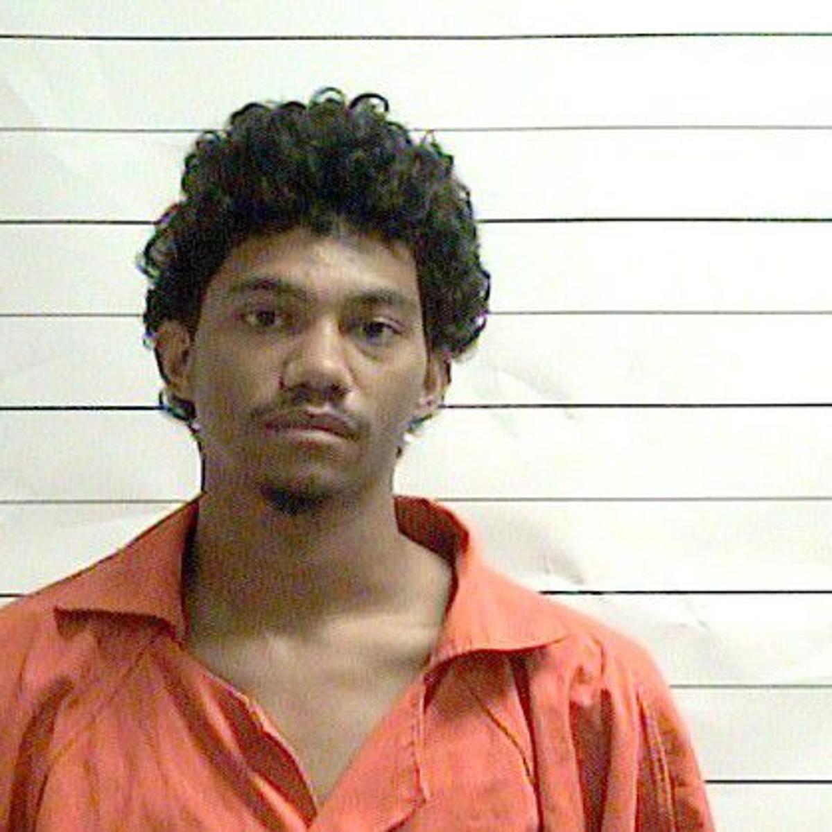 Mid City Man Admits To Killing Cat Sentenced To Weekends In Jail