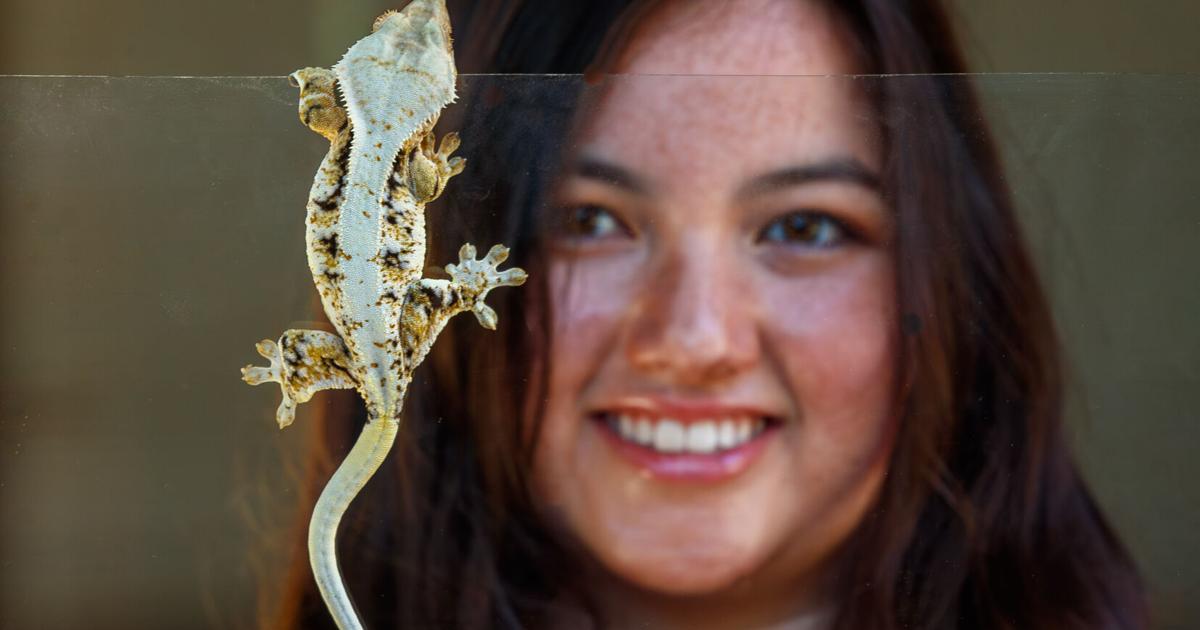 How Louisiana Colleges Are Fueling the Next Generation of Student Entrepreneurs