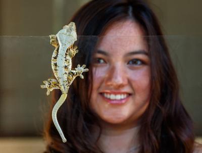 Kat Lee with her geckos