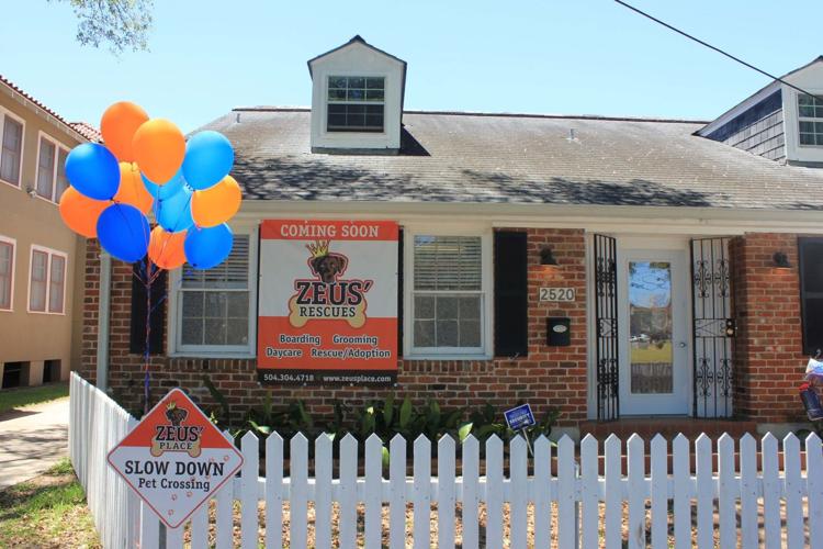 Zeus' Rescues gets permanent home in New Orleans Archive