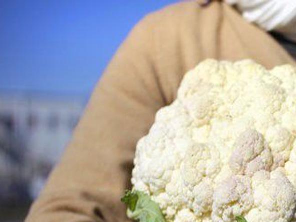 Two Dozen Vegetables To Plant In December For A Winter S Worth Of Crops Home Garden Nola Com
