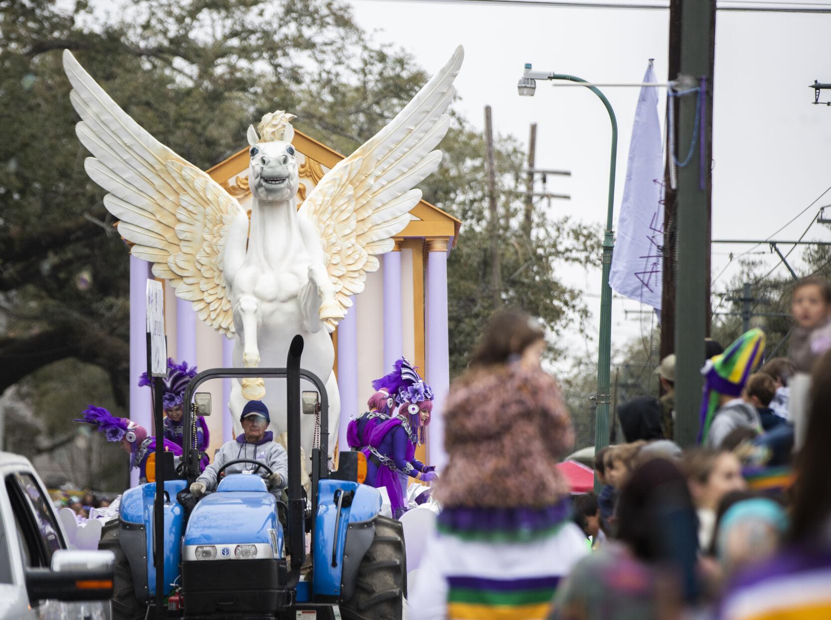 Photos Krewe of Iris rolls on the uptown parade route to the theme