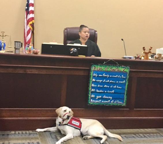 Vote for Suzie Orleans courthouse dog is up for Hero Dog Award