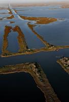 Jefferson, Plaquemines parishes file wetland damage lawsuits against dozens of oil, gas, pipeline companies