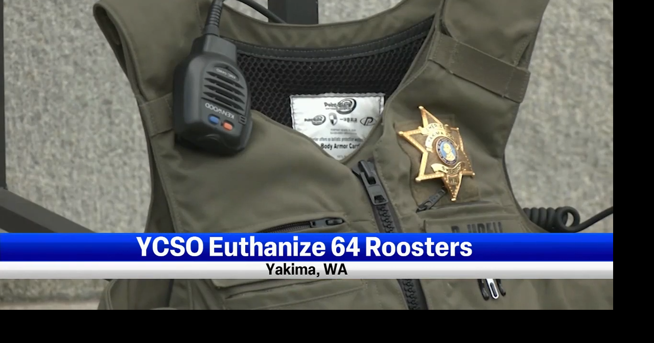 YCSO euthanize roosters instead of sending them to animal rescue