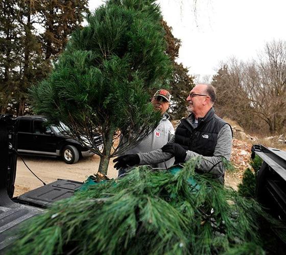 2022 Christmas Tree Pickup In Grimes Holiday Tradition In Norfolk | News | Norfolkdailynews.com