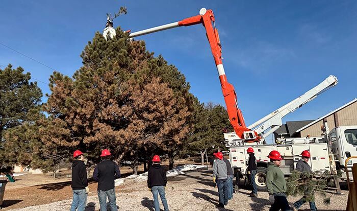 Removal Project Tree removal project provides valuable field training for utility line ...