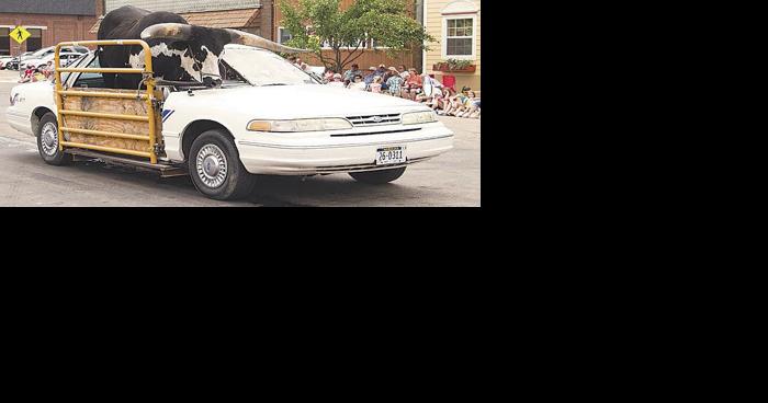 Steer and its owner who have made appearances in area parades pulled over in Norfolk - Vimarsana News