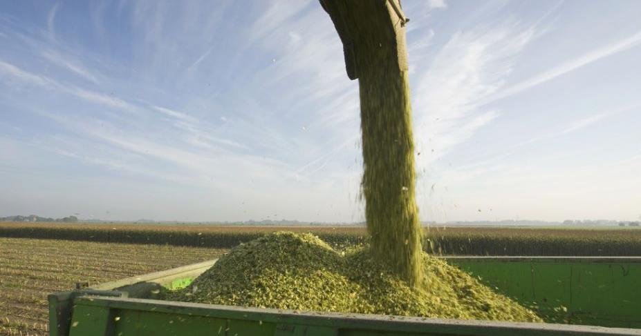 Forage Field Day planned at research lab near Concord | Agriculture ...