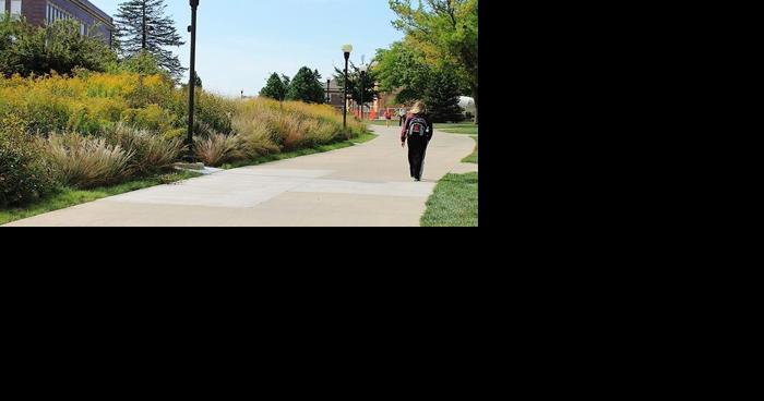 Virginia author to headline next installment of college's writers series | News - Vimarsana News