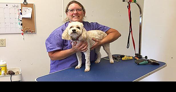 New In Town: Heads to Tails Dog Grooming | Business ...