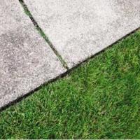 Residents given more time for sidewalk repairs | News Residents given more time for sidewalk repairs | News