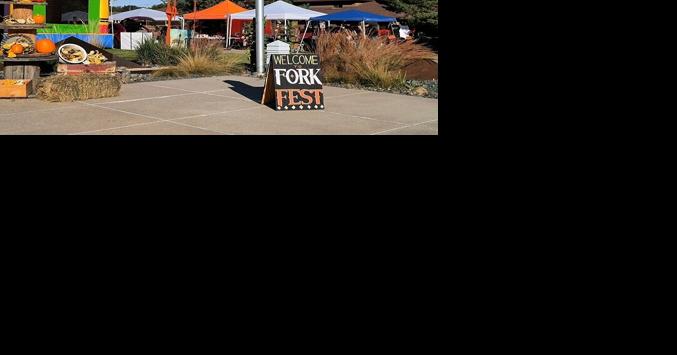 'Fork Fest highlights work of area artists - Vimarsana News