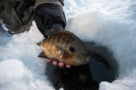 Ice Fishing in Fishing 