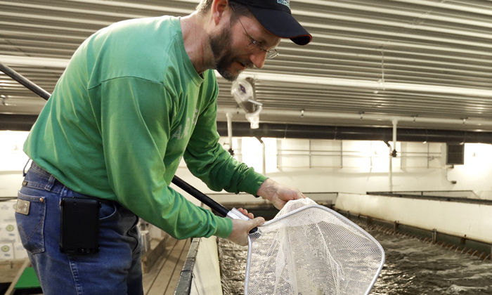 city farmers fish tanks