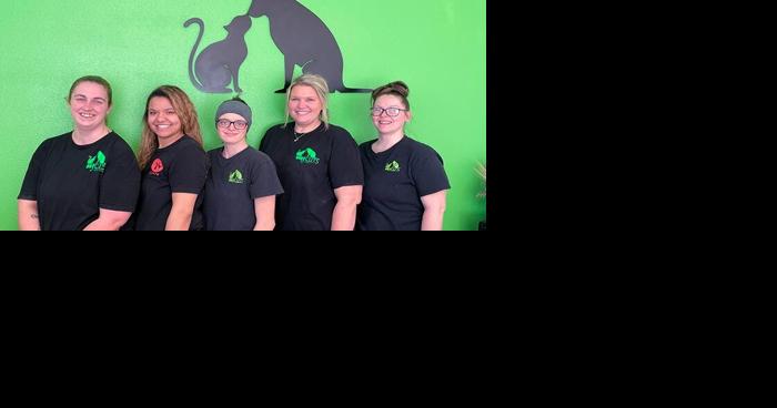 Pet groomer credits staff, clients for support during move - Vimarsana News