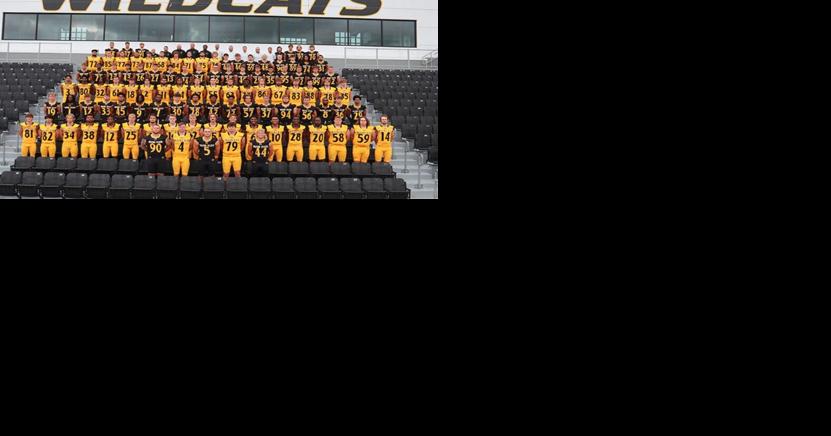 Wildcats are on the rise - Vimarsana News