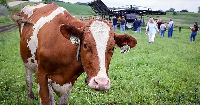 University of Minnesota agrivoltaics research may yield dual harvests of food and energy