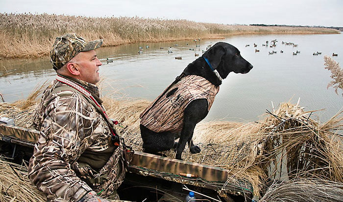 Waterfowl & Migratory Game Bird Seasons - NYS Dept. of Environmental  Conservation