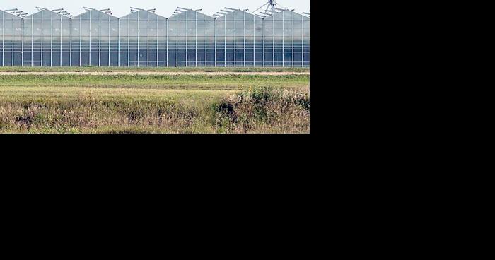 O'Neill raid highlights importance of growing immigrant ...