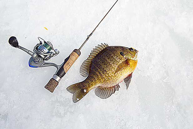 Why would someone want to go ice fishing?, Recreation