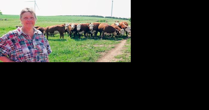 Herefords raised on Allen farm reach all across U.S. - Vimarsana News