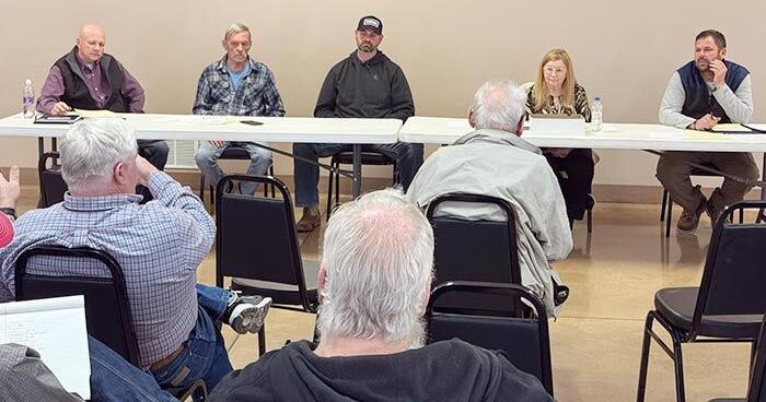 Elimination of townships, shift in county government opposed