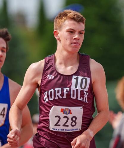 Norfolk's Svoboda concludes memorable state meet, adding four medals to ...