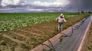 Unexpected Irrigation Failures Highlight the Importance of Fast Repairs