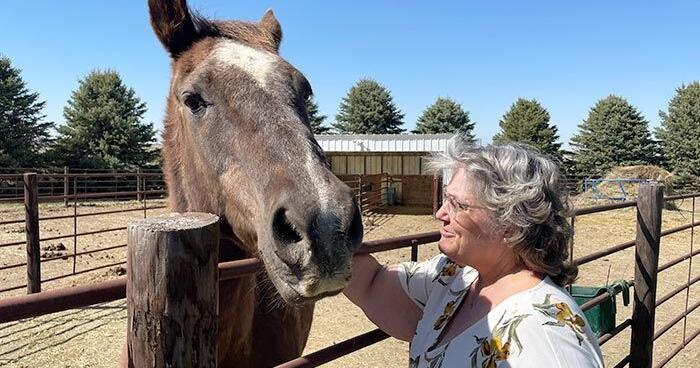 Equine ranch owners offering ‘chance to move forward’ | Feature ...