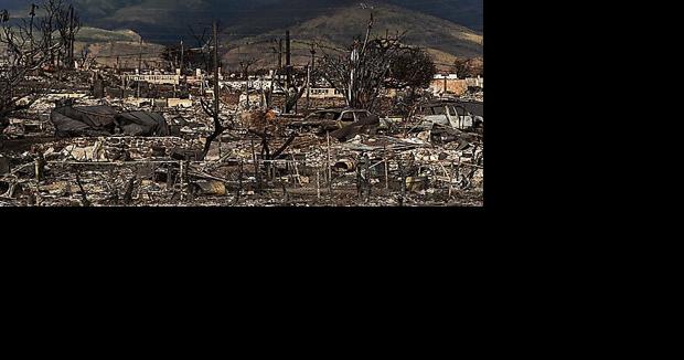 First congressional hearing on Maui wildfire focuses on island's sole electric provider and grid - Vimarsana News