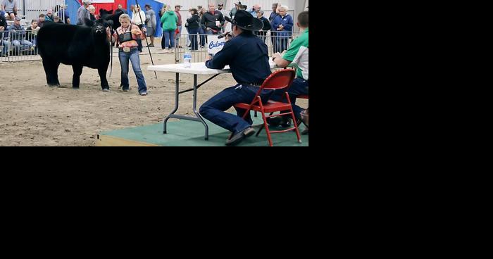Fresh-faced Albion exhibitor wins grand champion title at first Norfolk Beef Expo - Vimarsana News