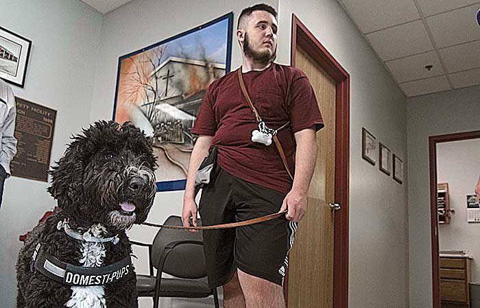 are service dogs trained to protect also