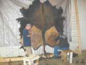 Ponca Tribe Opens Tannery News Norfolkdailynews Com
