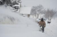 A Pretty Snow Yes But News Norfolkdailynews Com