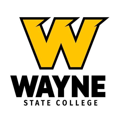 College students serving as tutors for state program - Vimarsana News