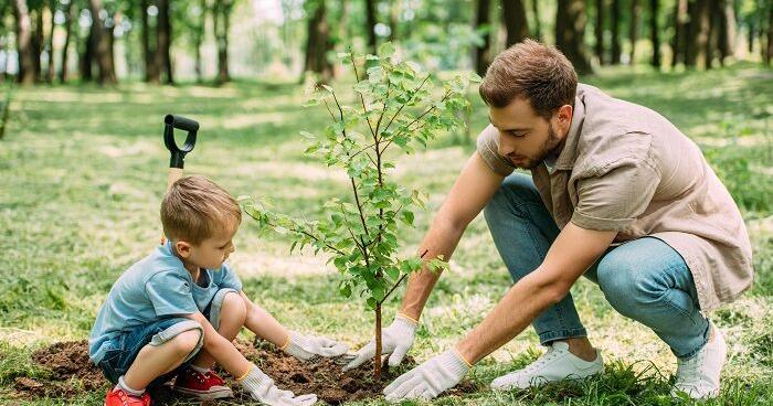 Reimbursement programs available for landscape improvements - Vimarsana News