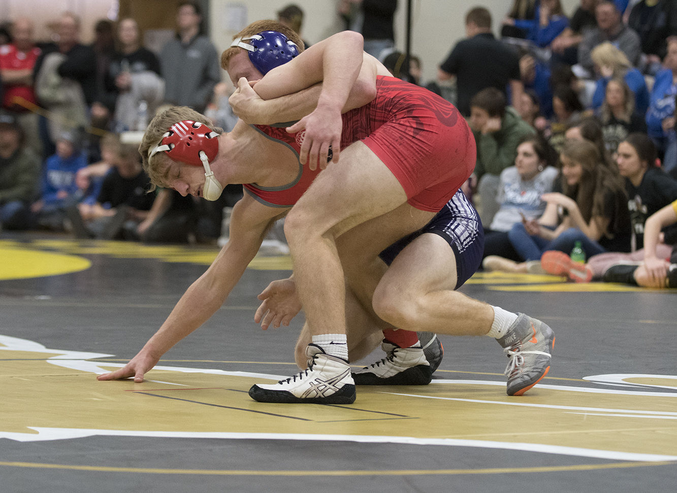 2019 Pierce looks to be a team to watch in wrestling Sports norfolkdailynews pic